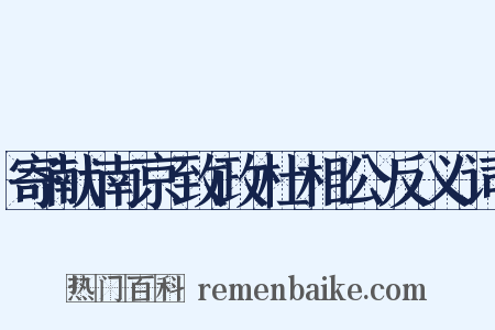 寄献南京致政杜相公反义词是什么意思的图片